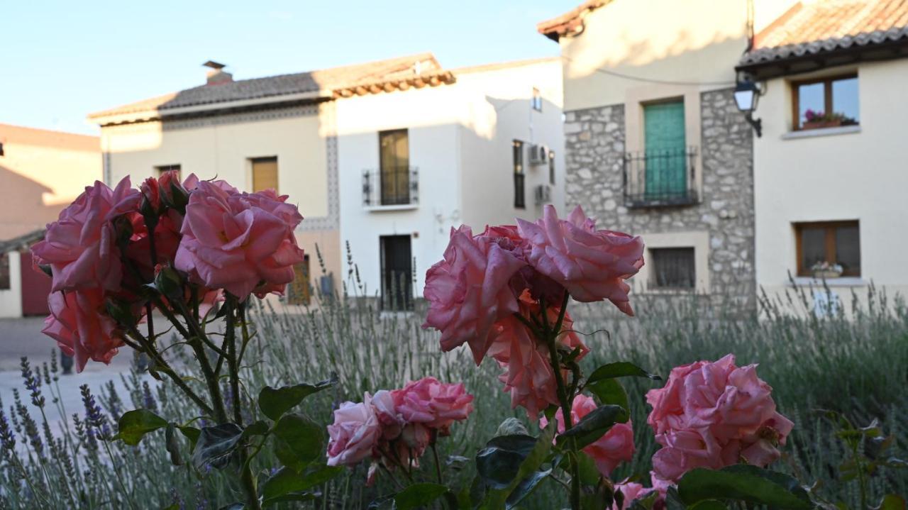 Casa Rural Antigua Botica Torremocha de Jarama Exterior photo